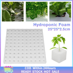 Fast Delivery: 100Pcs Hydroponic 100 Slots Foam Hydroponic Seedling Sowing Sponge 250*250*25mm