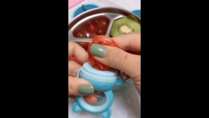 Baby Food Feeder / Fruit Feeder Pacifier Infant Teething Toy Teether in Appetite Puting Makanan Bayi