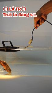 Đèn Led pha 50w 100w 200w ngoài trời 220V siêu sáng siêu mỏng IP66 220V Nhôm đúc ánh sáng trắng vàng