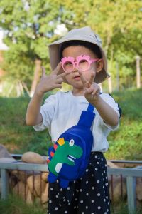 กระเป๋าเด็ก กระเป๋าเมสเซนเจอร์ กระเป๋าสะพาย ไดโนเสาร์ เด็ก 3-6ปี