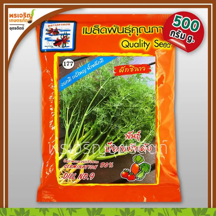 เมล็ดพันธุ์ผักชีลาว ป๊อกเก้าเด้ง ตราปลาทอง กอใหญ่ 500 กรัม