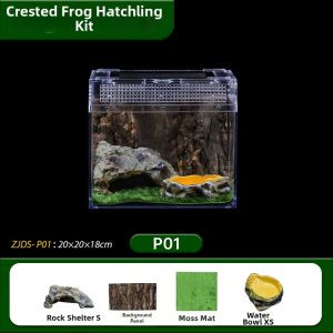 BARBAROUS GROWTH | Transparent Acrylic Reptile Habitat Box
