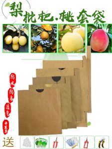 Waterproof Fruit Bag Specialized for Pear Apple Plum Loquat Orange and Jujube Wood Pulp Paper Made by Fengkangyuan