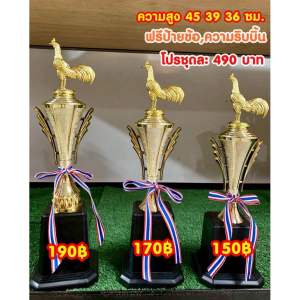 ถ้วยหัวไก่ชุดราคาถูกสุด (ทำป้ายข้อความฟรีทักมานะครับ)