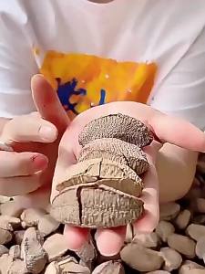 Ready-to-eat Brazil Nuts Large Kernels