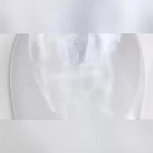 Panasonic | Intelligent Automatic Low-Pressure Foam Shield Toilet
