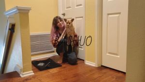 Foremost Stars Pet fence magic Pet door dog isolation net portable folding pet isolation fence 180cm 180 * 72cm