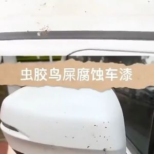 汽车洗车液漆面强力去污泡沫清洁用品鸟粪树脂树胶虫胶去除清洗剂 Car removal cleanser
