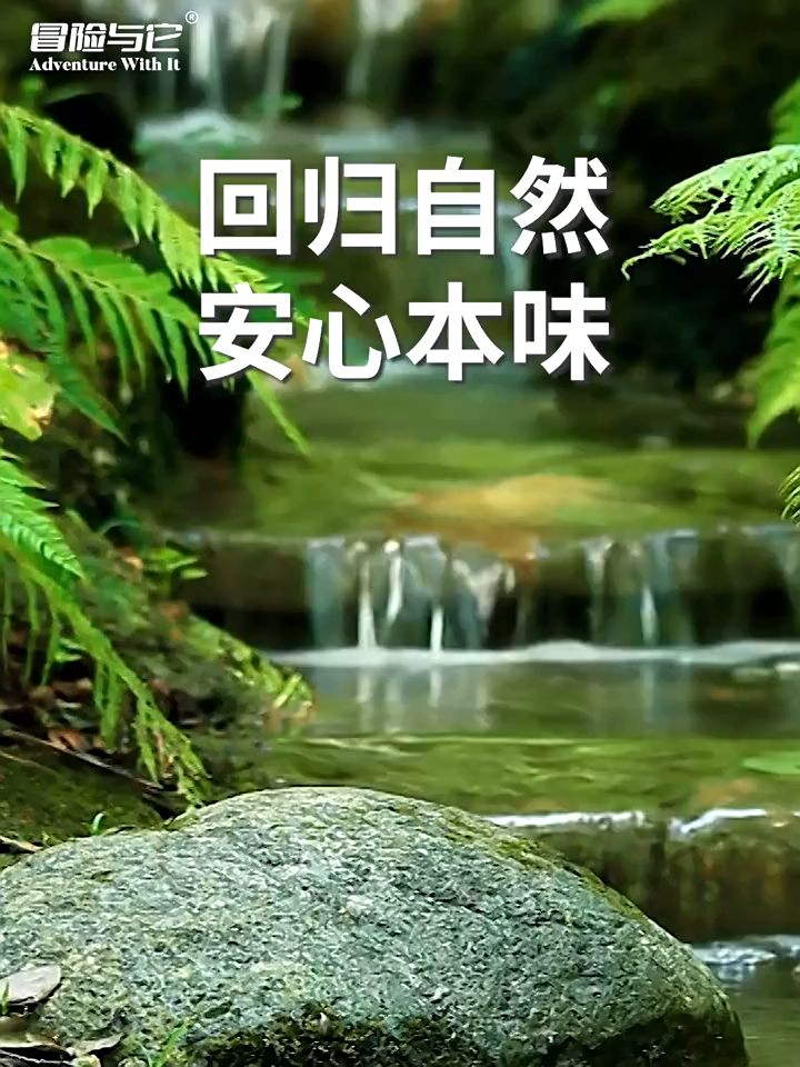 Furiri 50g Cat Staple Wet Food Premium Creamy Pet Snack Cat Wet Food Training Reward Food Creamy Pet Food Mkanan Kucing