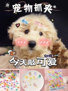 Yorkshire Dog Barrettes Pet Puppy Cat Headdress Small Hair Tie Maltese Bichon Teddy Grip Accessories