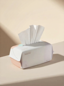 SHI YUE JIE JING | Disposable Thickened Face Towel 80 Sheets