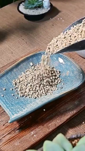 2KG Pumice Stones 100% Natural Organic Pumice Volcanic Stone For Cactus Succulents Orchid Plants Aquarium Filtration Decor