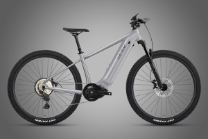 Electric-Assist Long-Range Mountain Bike
