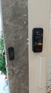 [Door + Gate] Eazea Irisys Digital Door Lock + Eyeon-G Digital Gate Lock | 7 IN 1 | PIN Code RFID Access Face Recognition Palm Recognition Fingerprint Key Remote Wi-Fi | 100% Made in Korea | 2 Years Onsite Warranty | 3000+ 5 Star Reviews
