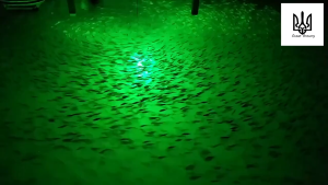 LED Fishing Light Underwater Fish Finder Lamp Attracts Accessories for Night Fishing