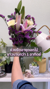 RIONA อาหารดอกไม้สด ชนิดน้ำ สูตรเข้มข้น หลายขนาด สารยืดอายุดอกไม้ ดอกไม้ในแจกัน บานสวยเปล่งเจิดจรัสยาวนานกว่าที่เคย Cut Flower Food  Post - Harvest Solutions B