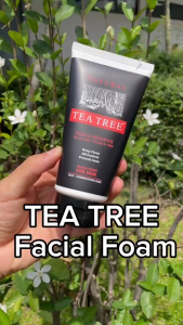 (ซื้อ 2 แถม 1) Tea Tree ที ทรี โฟมล้างหน้า ฟอร์เมน สำหรับผู้ชาย ขนาด 140 กรัม Facial Foam for Men 2 Free 1