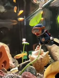 [Voucher 12%] Mô hình thợ lặn biển hoạt hình trang trí bể cá thủy sinh tiểu cảnh cao cấp