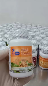 ถั่งเช่า ตังถั่งเช่า Cordyceps ตรา บลูเบิร์ด ขนาด 600 มิลลิกรัม 30 แคปซูล - ชุดเครื่องมือที่ปลอดภัย สามารถทำงานได้ง่าย ๆ