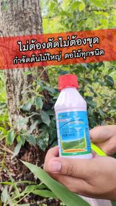 💥ราคาโรงงาน💥ยาฆ่าต้นไม้ใหญ เข้มข้นสุด 200ml 1ขวดเท่ากับ20ขวด ยาฆ่าตอต้นไม้ ตรงไปที่ราก รากเน่ารากตาย ยาฆ่าตอไม้ใหญ่ บอกลาการตัดต้นไม้ด้วยตนเอง ไม่เป็นอันตรายต่อดิน ยากำจัดต้นไม้ ยาฆ่าไผ่ ยากำจัดต้นไม้ใหญ่ สารกำจัดกอไผ่ สารกำจัดต้นไม้