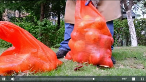 10/30/50 PCS 55*85CM Red Leno Mesh Bag(Vegetable Sack/Garlic Onion Sack) Vegetable Storage Bag
