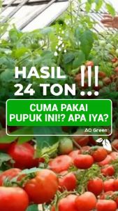 Pupuk Organik AQ GREEN Penyubur Tanaman Daun dan Buah untuk Karet Sawit Padi Jagung 45gr/500gr/1kg