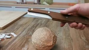 Fast artifacts Coconuts coil minced 开椰子神器椰肉刨挖椰肉器椰子工具椰子刀开椰器刨椰丝神器  開 椰子 神器  椰子刀。。。