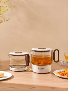 Electric Multifunction Glass Tea Kettle Mini