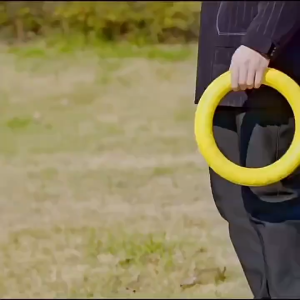 Đồ chơi huấn luyện Chó bằng cao su xốp eva mềm và bền bỉ (mẫu mới) - Love Pets Shop