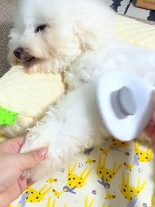 Lược chải lông chó mèo có nút bấm - T3 PETS SHOP
