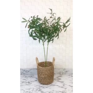 Pohon Imitasi Zaitun Tangkai X2 Artificial Cover Eceng Gondok Handle Dekorasi Kamar Aesthetic