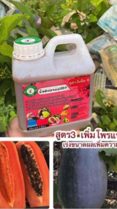 น้ำหมักปลาทะเลสูตร 3 เร่งการเจริญเติบโต เร่งผล เร่งความหวานกรอบ จากสวนพิวาโร่ ปริมาณ 1 ลิตร