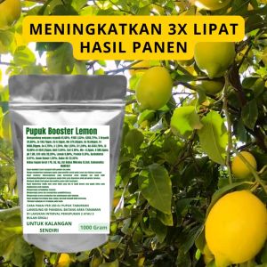 Pupuk Booster Lemon Pelebat Organik Cepat Berbuah Lebat Besar Anti Rontok Pembesar Lemon