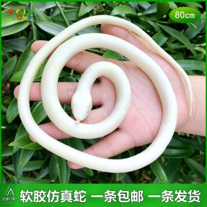 Đồ Chơi Mô Phỏng Rắn Mềm Đàn Hồi Cho Trẻ Em Mẫu Giáo Đồ Chơi Mô Phỏng Động Vật Dễ Thương Đồ Chơi Giả Mạo Sáng Tạo Đồ Chơi Mô Hình Động Vật