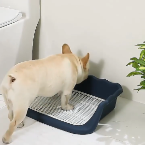 ห้องน้ำสุนัข แผ่นรองปัสสาวะสัตว์เลี้ยง รูปสี่เหลี่ยมผืนผ้า ขอบสูง ป้องกันการสาด ห้องน้ำหมา แผ่นรองปัสสาวะหมา