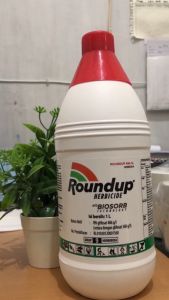 Herbisida Roundup 486SL: Solusi Sistematis Untuk Rumput Liar