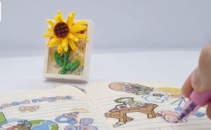 Bộ Đồ Chơi Lắp Ráp Mô Hình 3D Mini Bằng Nhựa DIY hoa trong khung tranh | Baystore