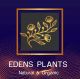 EDENS PLANTS Produk Thailand