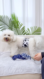 Dono PetClub male dog diaper washable diaper for dog Reusable diaper dog diaper wrap washable S/M/L