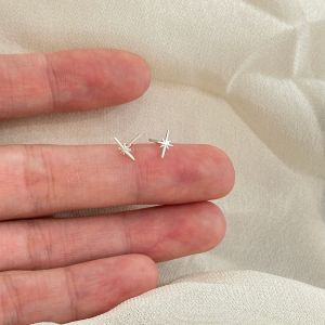S925 Silver Eight-Pointed Star Earrings Womens Piercing Ear Rings Unique Design High-End Ear Bone Pins Silver Versatile Ear Jewelry
