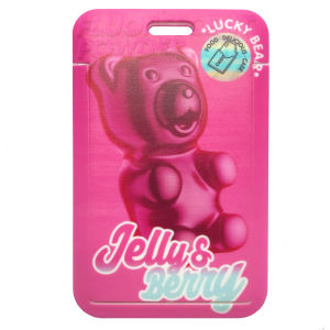 Original Buddy Pink Bear Soft Candy Lanyard Card Holder Student ID Accessory Transit Card Case Document Cover Cultural Goods