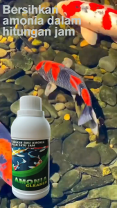 AMONIA CLEANER | Menghilangkan Bau Menetralisir Amonia Nitrit dan Menghilangkan Segala Racun Dalam Kolam atau Aquarium Kolam Koi dan Ikan Hias Lainnya | 250 mL