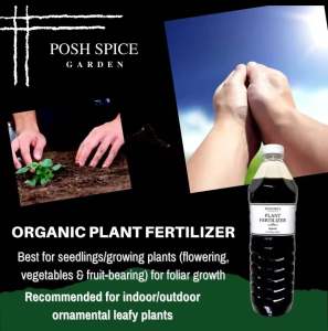 Liquid Organic Plant Fertilizer Posh Spice  1 Liter