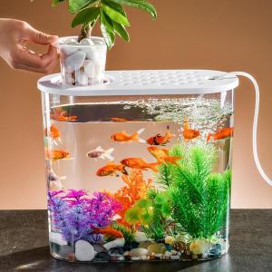 YYBAIO | Bể Cá Trang Trí Mini