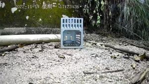 🔥COD🔥Single Door Mouse Trap Reusable Multi Catch Mouse Trap Rat Trap Cage