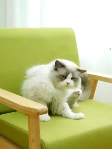 【COD】Pet Hair Remover 2-Way Comb Roller Cute Duck Shape Cat Dog Hair Remove Brush Self-cleaning Lint One Hand Operation