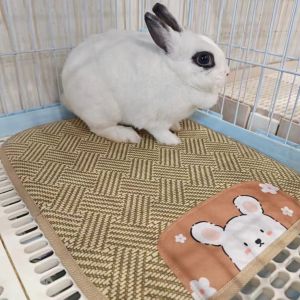 Da Yang Rabbit Cage Mat R81 Cool Mat Pad R71 Summer Rabbit Heat Dissipation Pad Guinea Pig Chinchilla Ice Mat Cooling Supplies