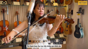 Đàn Violin Acutis AYV3003 Size 4/4 3/4 1/2 1/4 Chính Hãng 100% Nhập Khẩu