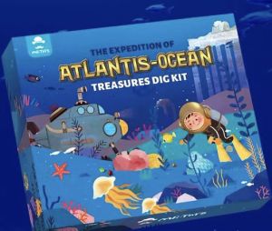 Mr Toys Treasures Dig Kit