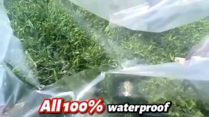 Transparent Waterproof Oilcloth & Makapal Tarpaulin with Eyelets